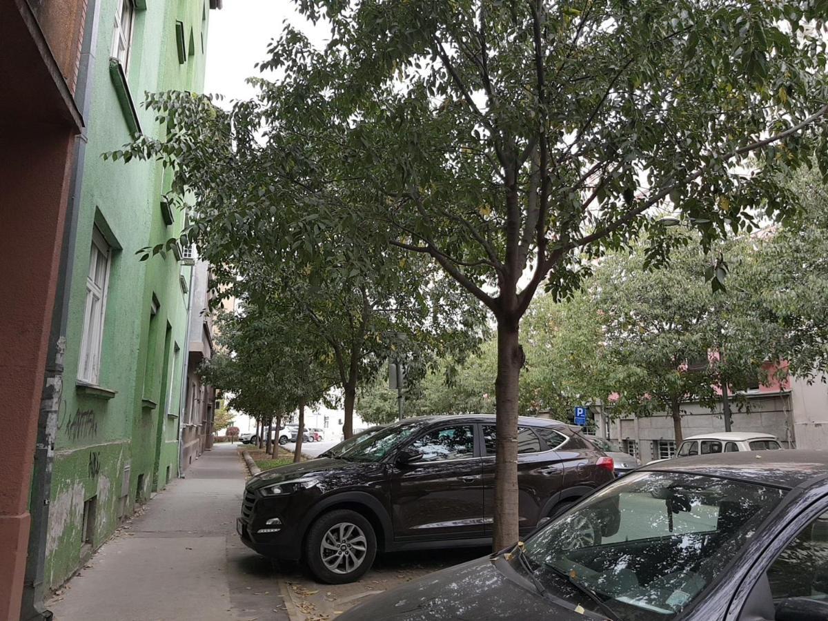 נובי סאד Mia Apartment מראה חיצוני תמונה