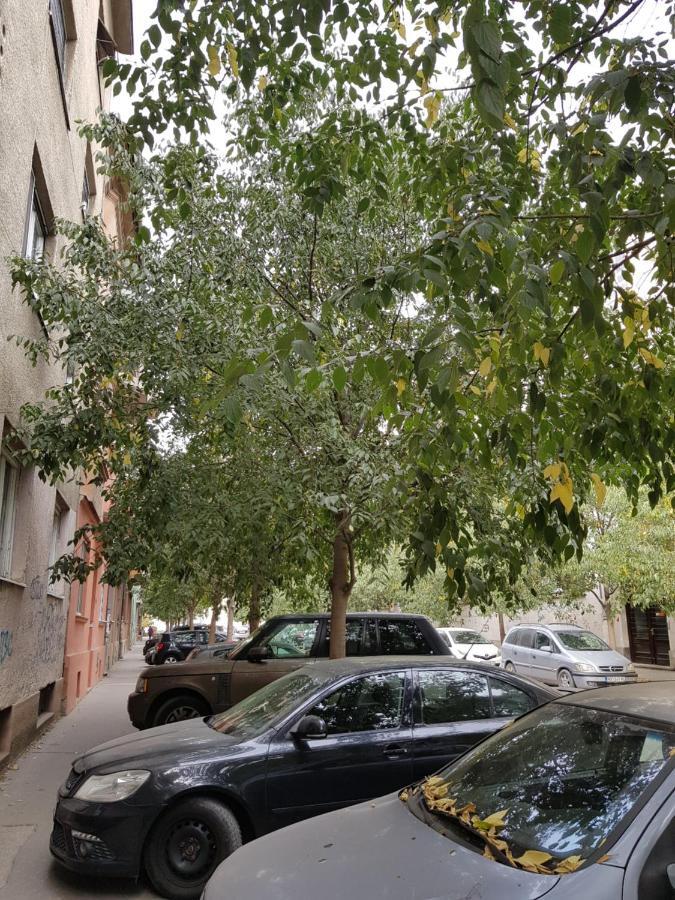 נובי סאד Mia Apartment מראה חיצוני תמונה